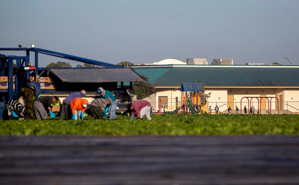 Agricultural fields surround an elementary school in Salinas, California. (Martin Do Nascimento / Earthjustice)
