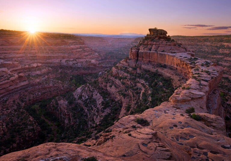 First light over Cedar Mesa in southeast Utah, Bears Ears National Monument. Bears Ears is one of the national monuments that Earthjustice is fighting to preserve.